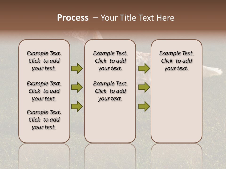 A Brown And White Dog Standing On Top Of A Lush Green Field PowerPoint Template