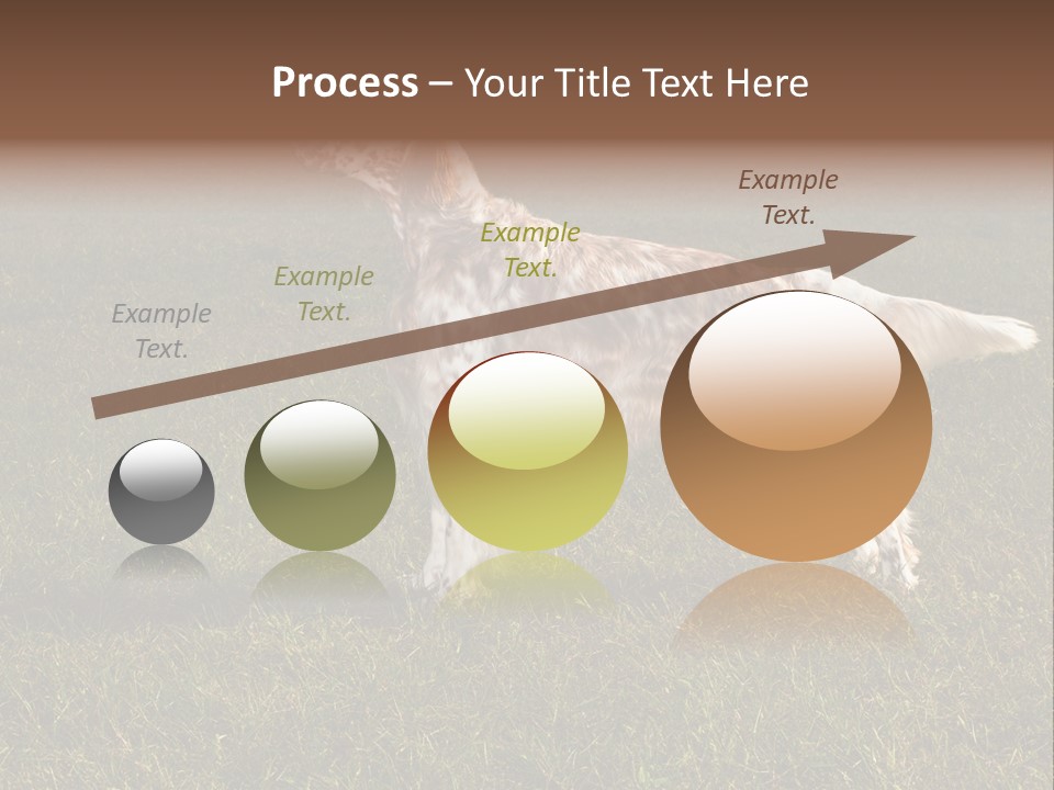 A Brown And White Dog Standing On Top Of A Lush Green Field PowerPoint Template