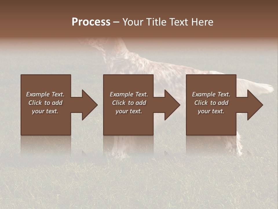 A Brown And White Dog Standing On Top Of A Lush Green Field PowerPoint Template