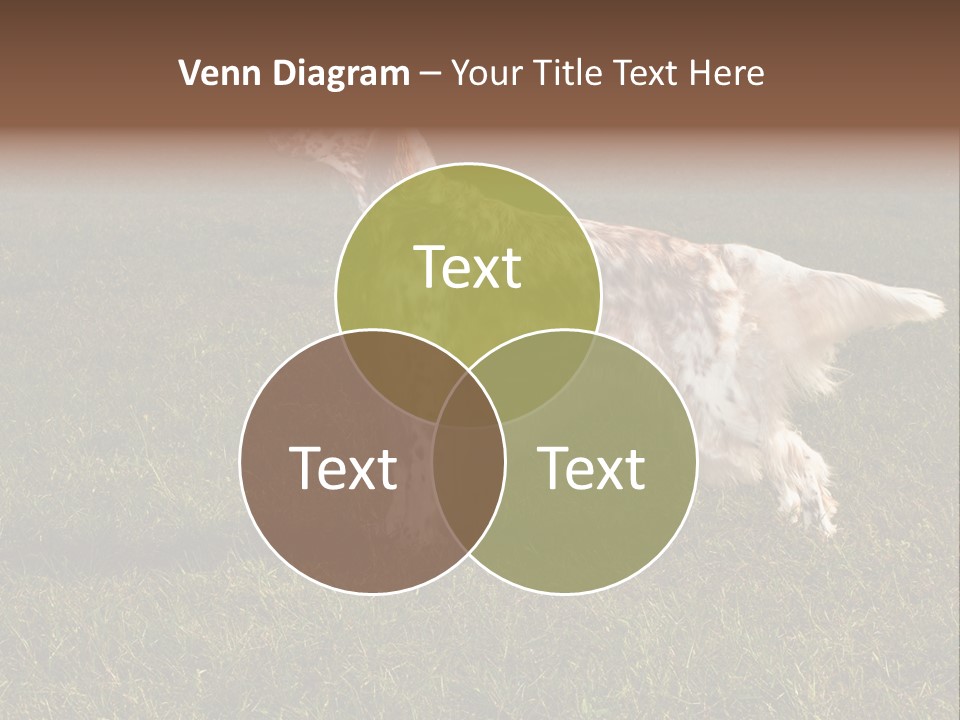 A Brown And White Dog Standing On Top Of A Lush Green Field PowerPoint Template