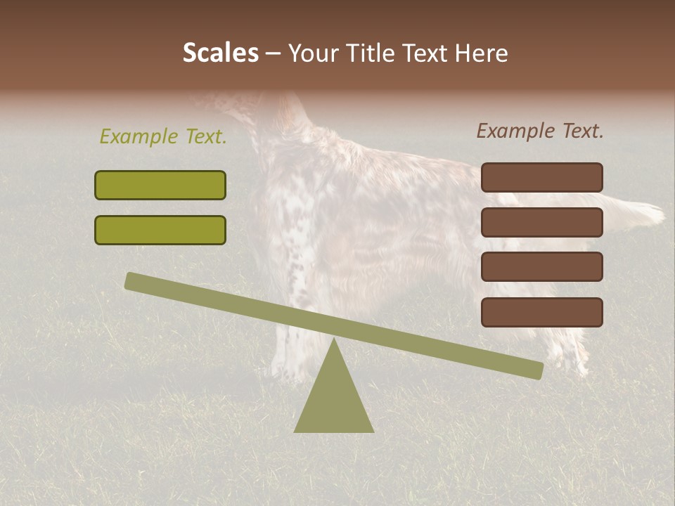 A Brown And White Dog Standing On Top Of A Lush Green Field PowerPoint Template