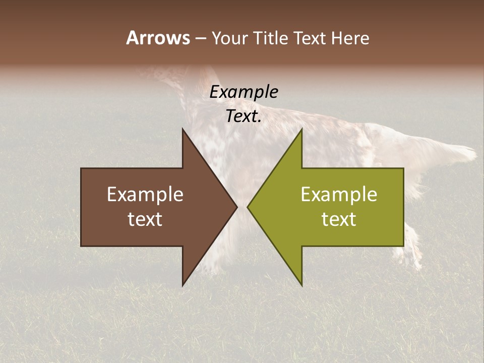 A Brown And White Dog Standing On Top Of A Lush Green Field PowerPoint Template