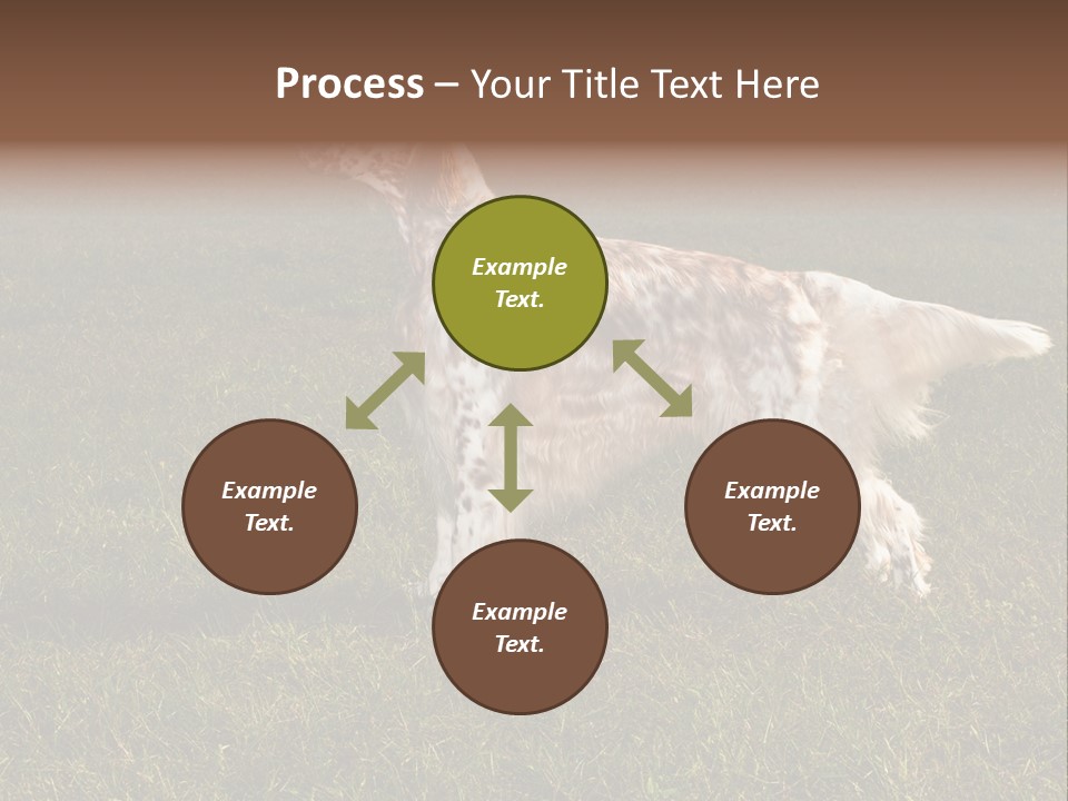 A Brown And White Dog Standing On Top Of A Lush Green Field PowerPoint Template
