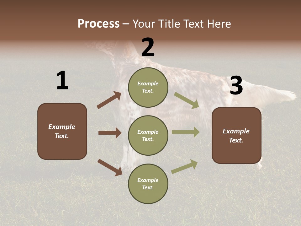 A Brown And White Dog Standing On Top Of A Lush Green Field PowerPoint Template