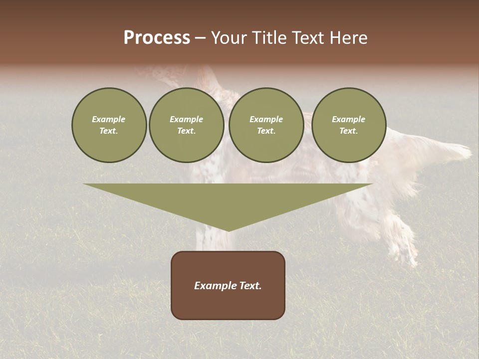 A Brown And White Dog Standing On Top Of A Lush Green Field PowerPoint Template
