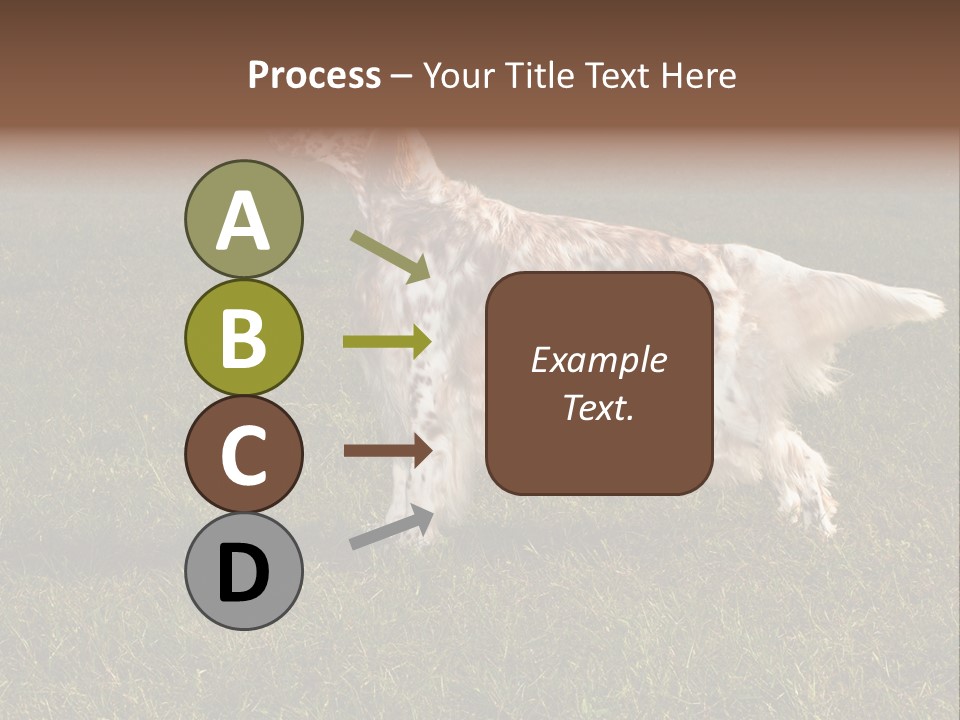 A Brown And White Dog Standing On Top Of A Lush Green Field PowerPoint Template