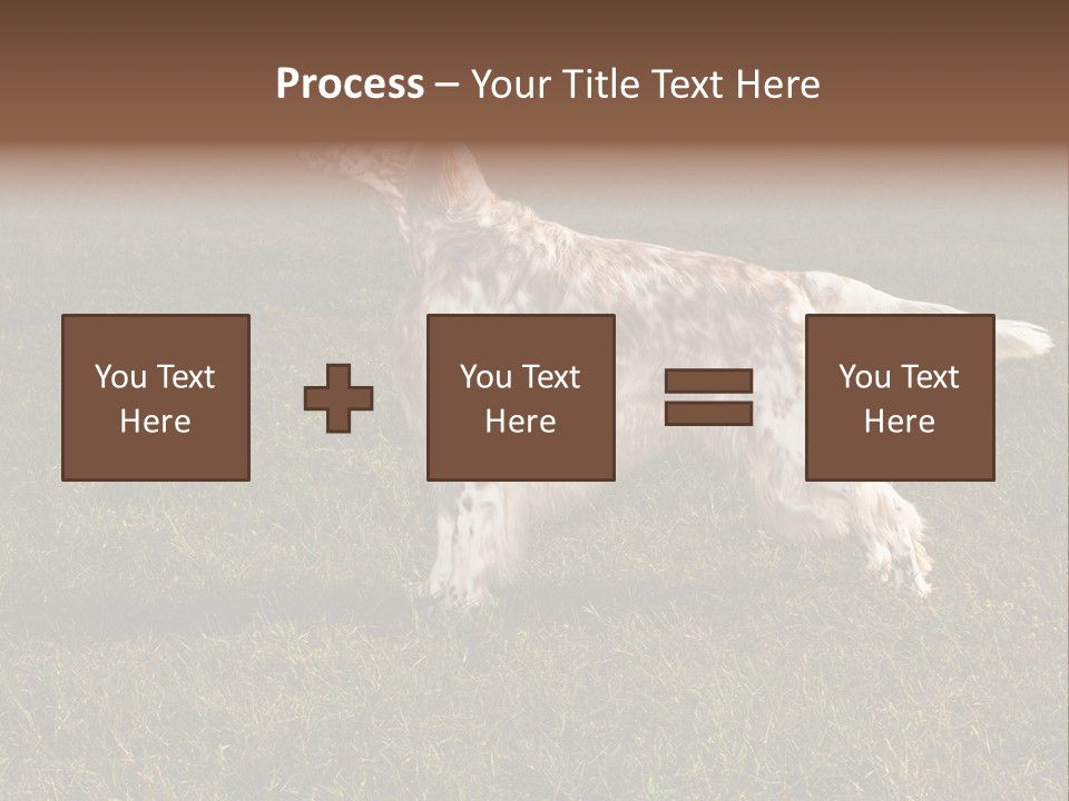 A Brown And White Dog Standing On Top Of A Lush Green Field PowerPoint Template
