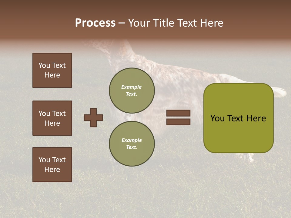 A Brown And White Dog Standing On Top Of A Lush Green Field PowerPoint Template