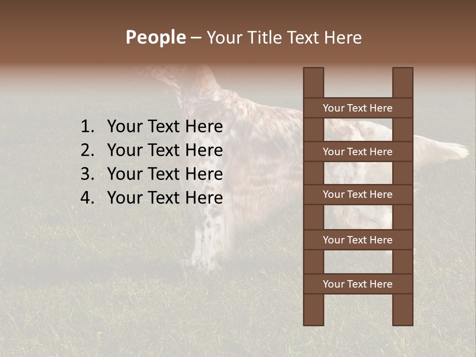 A Brown And White Dog Standing On Top Of A Lush Green Field PowerPoint Template
