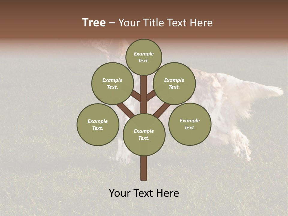 A Brown And White Dog Standing On Top Of A Lush Green Field PowerPoint Template