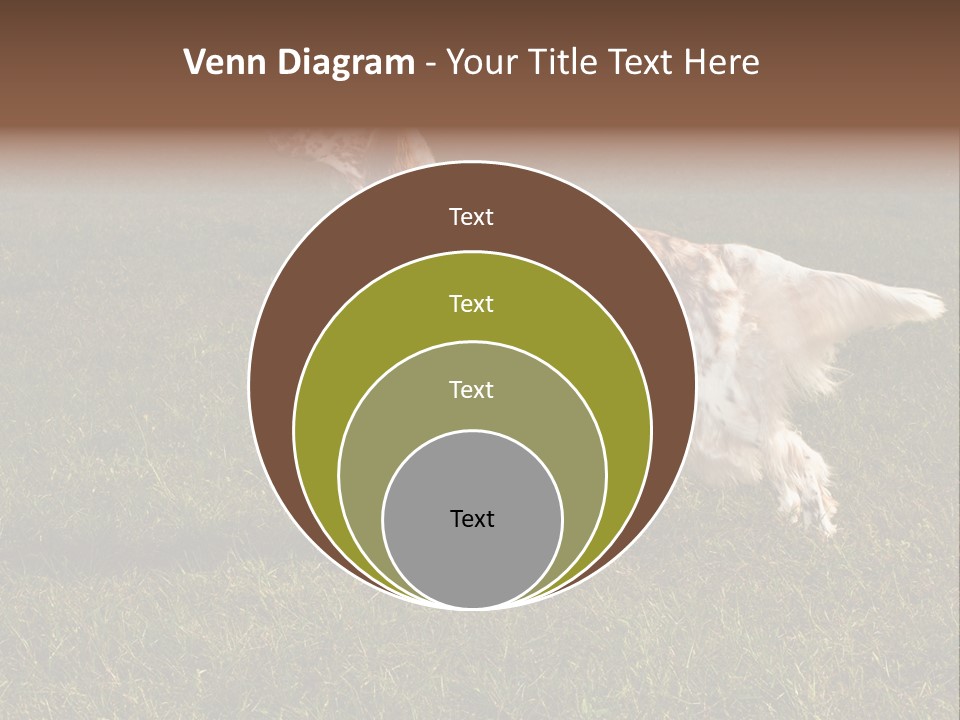 A Brown And White Dog Standing On Top Of A Lush Green Field PowerPoint Template