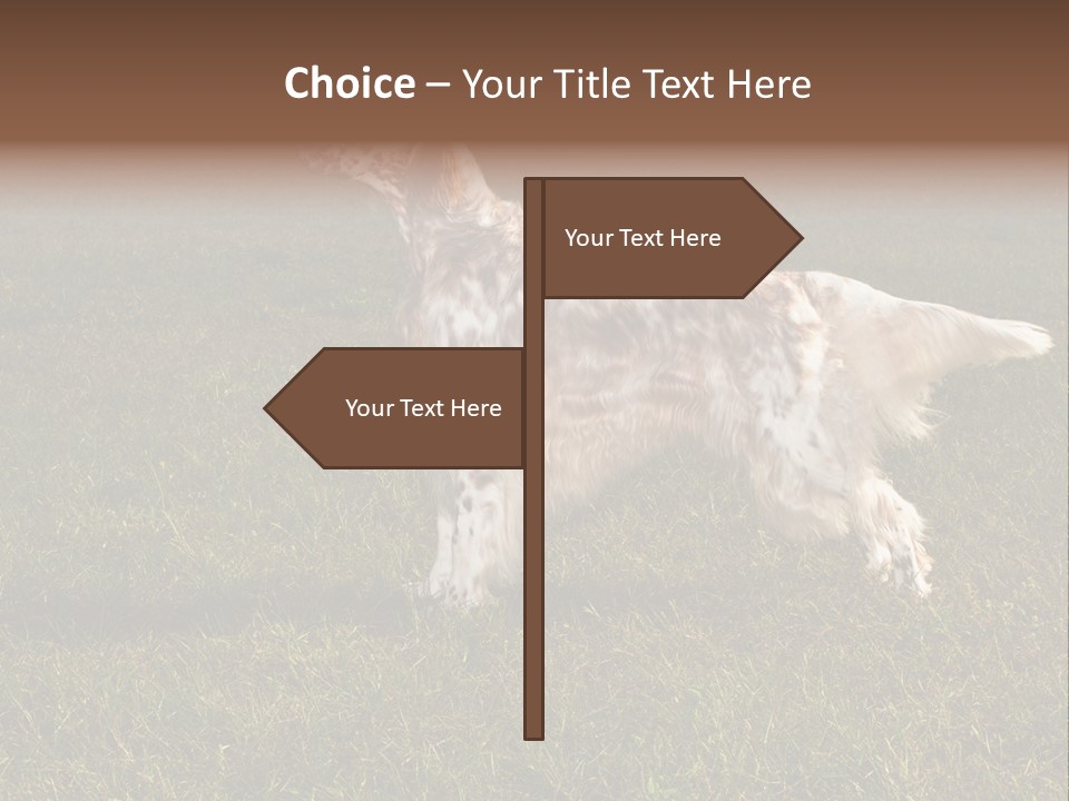A Brown And White Dog Standing On Top Of A Lush Green Field PowerPoint Template