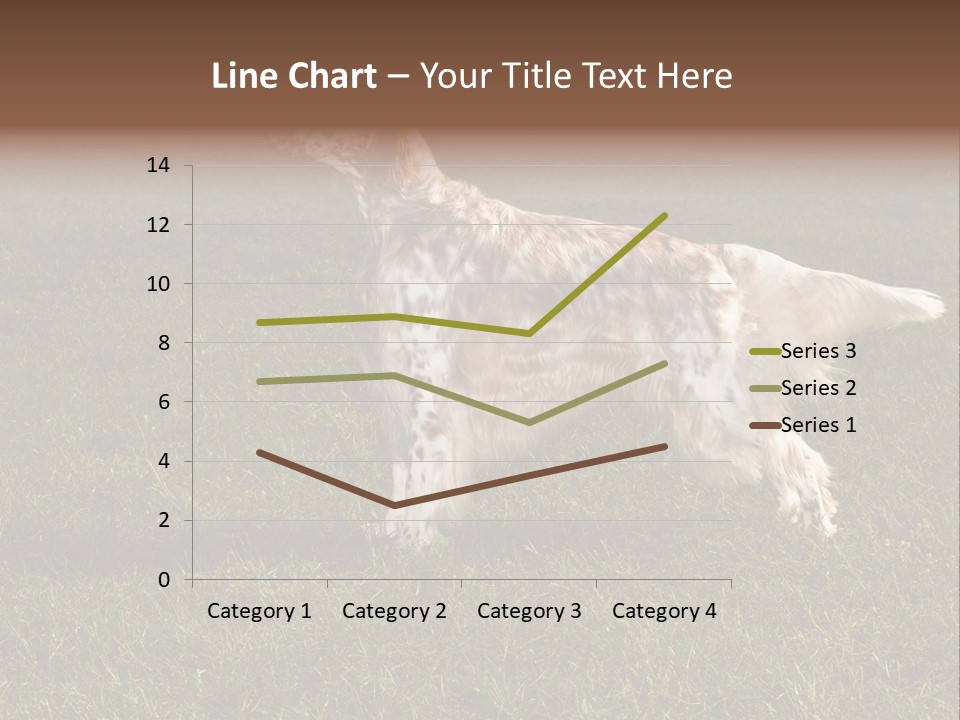 A Brown And White Dog Standing On Top Of A Lush Green Field PowerPoint Template