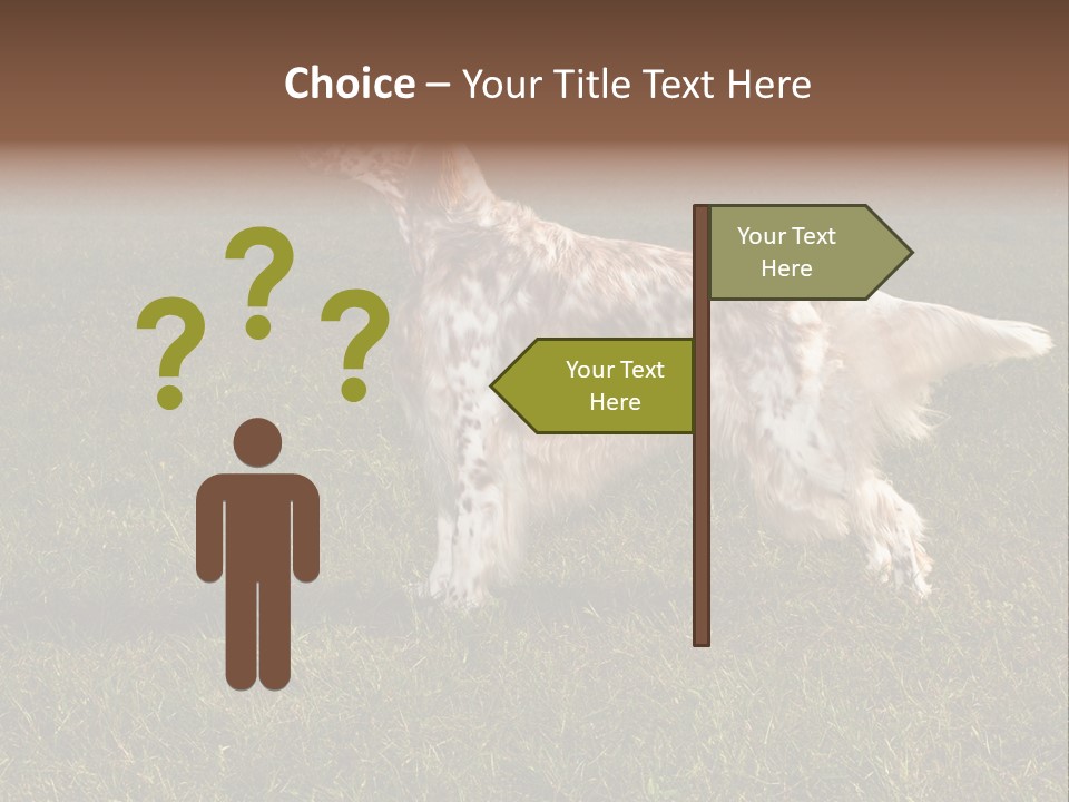 A Brown And White Dog Standing On Top Of A Lush Green Field PowerPoint Template