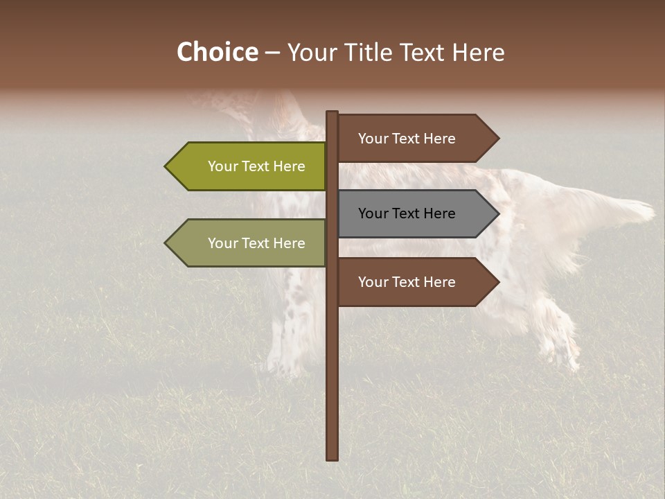 A Brown And White Dog Standing On Top Of A Lush Green Field PowerPoint Template