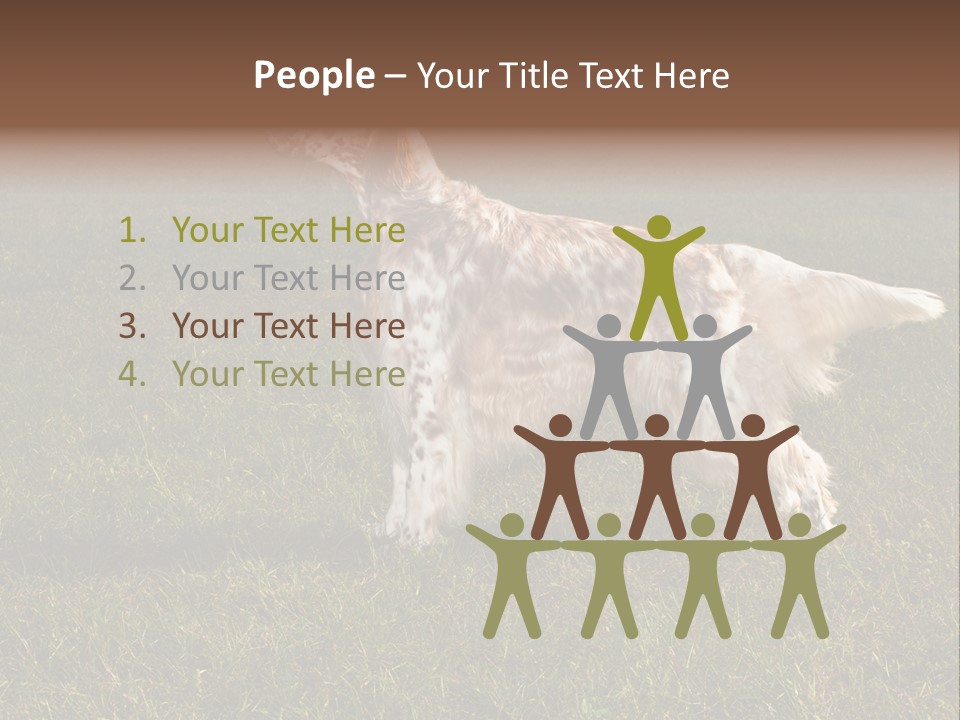 A Brown And White Dog Standing On Top Of A Lush Green Field PowerPoint Template