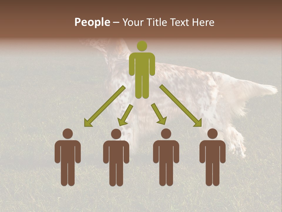 A Brown And White Dog Standing On Top Of A Lush Green Field PowerPoint Template