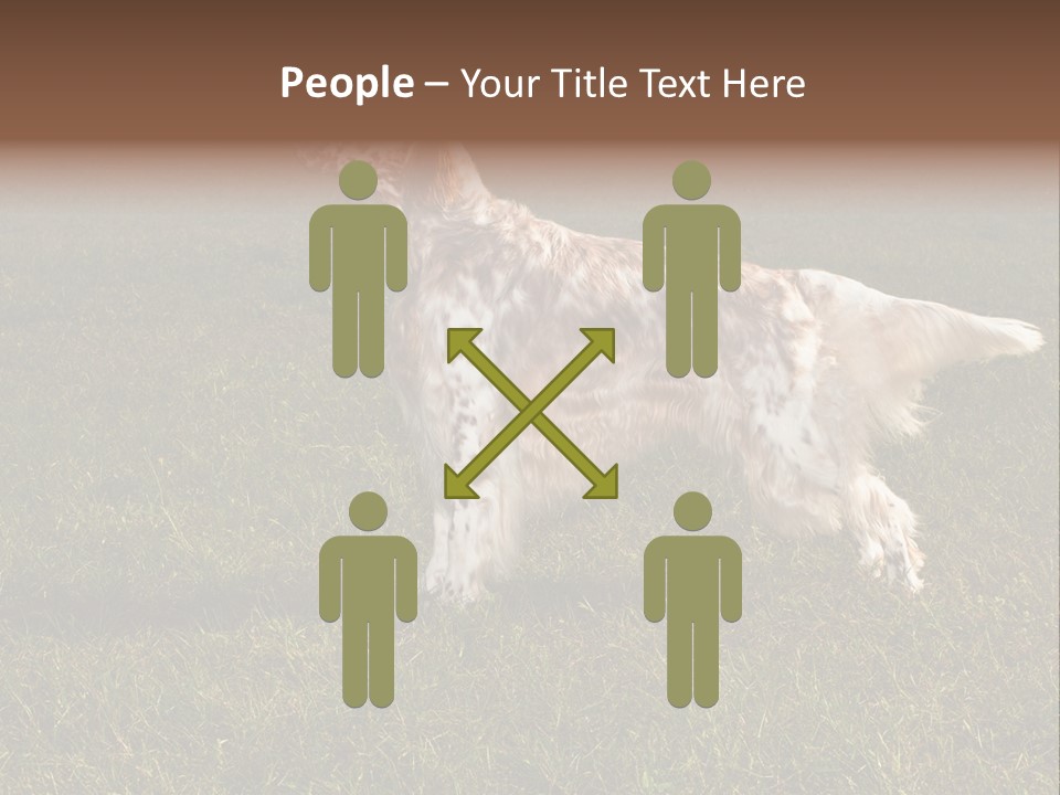A Brown And White Dog Standing On Top Of A Lush Green Field PowerPoint Template