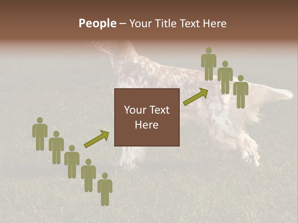 A Brown And White Dog Standing On Top Of A Lush Green Field PowerPoint Template