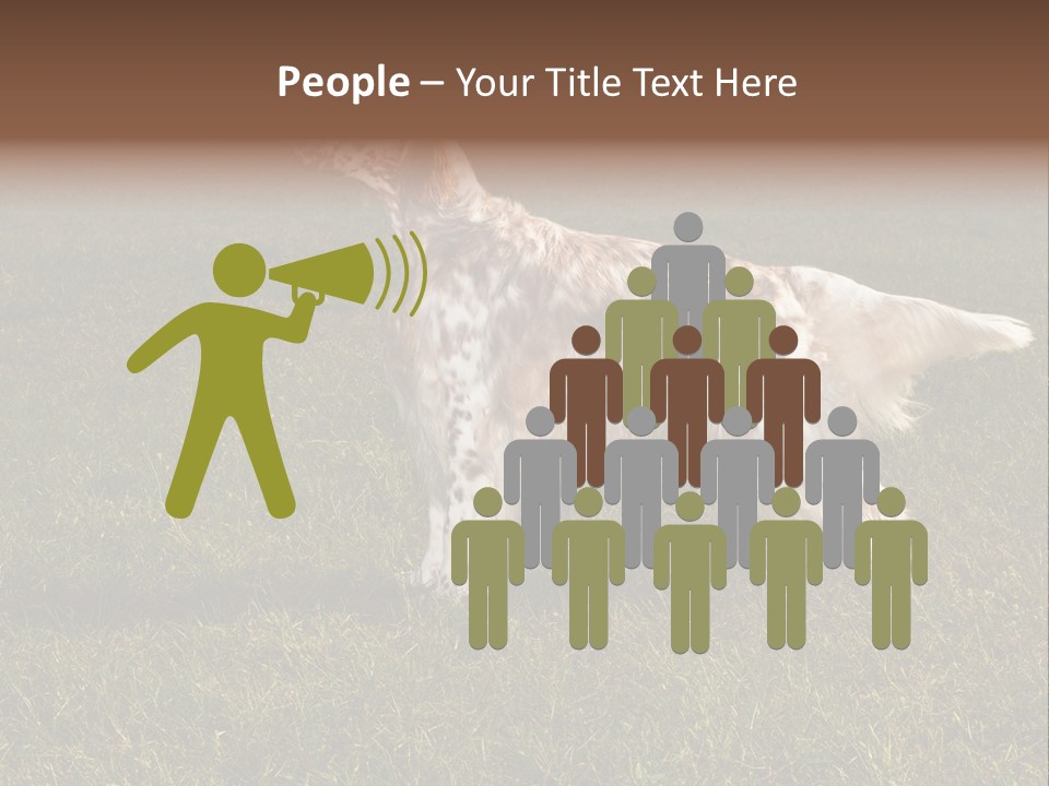 A Brown And White Dog Standing On Top Of A Lush Green Field PowerPoint Template