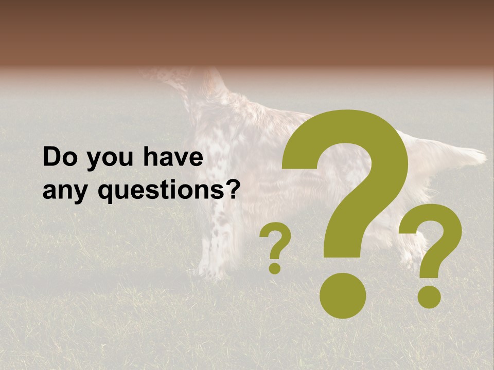 A Brown And White Dog Standing On Top Of A Lush Green Field PowerPoint Template