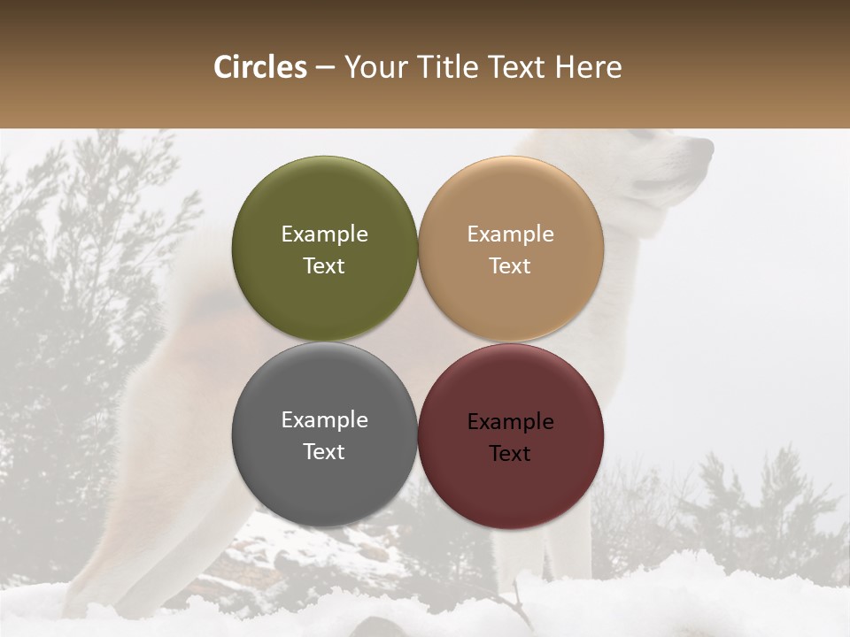 A Brown And White Dog Standing In The Snow PowerPoint Template