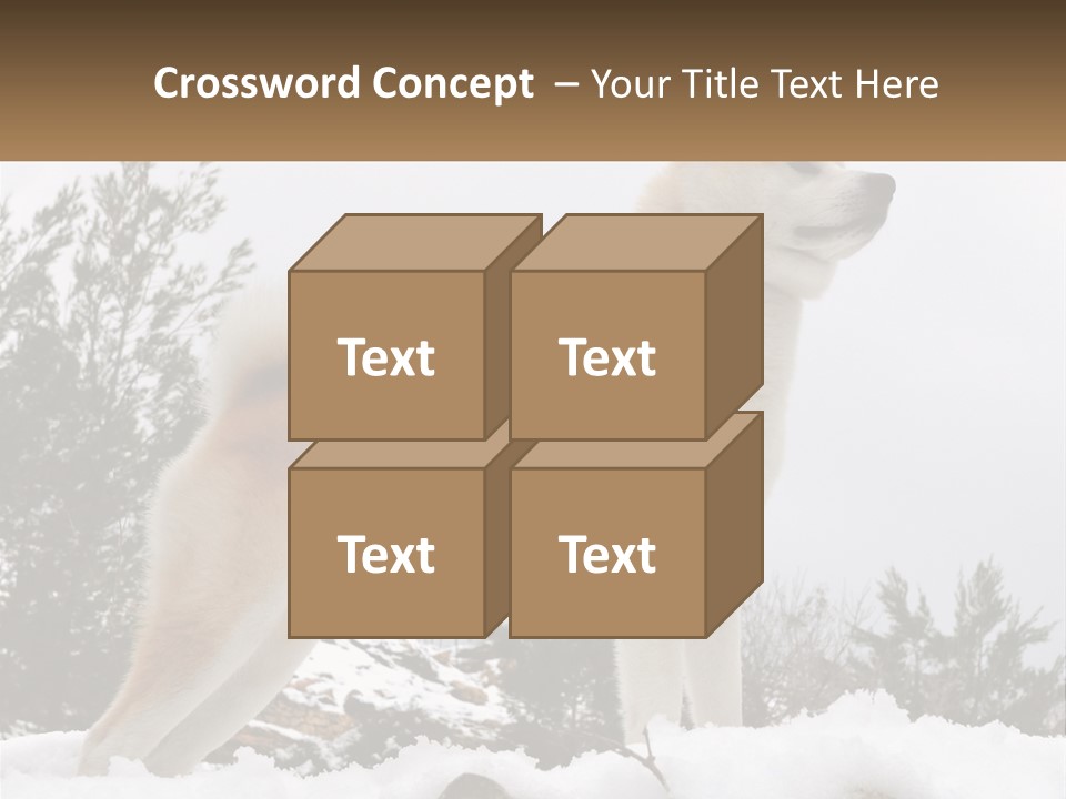 A Brown And White Dog Standing In The Snow PowerPoint Template