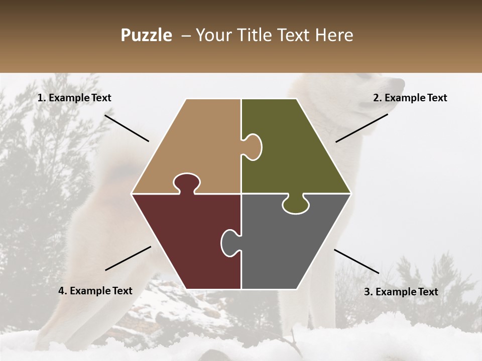 A Brown And White Dog Standing In The Snow PowerPoint Template