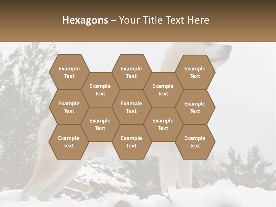 A Brown And White Dog Standing In The Snow PowerPoint Template