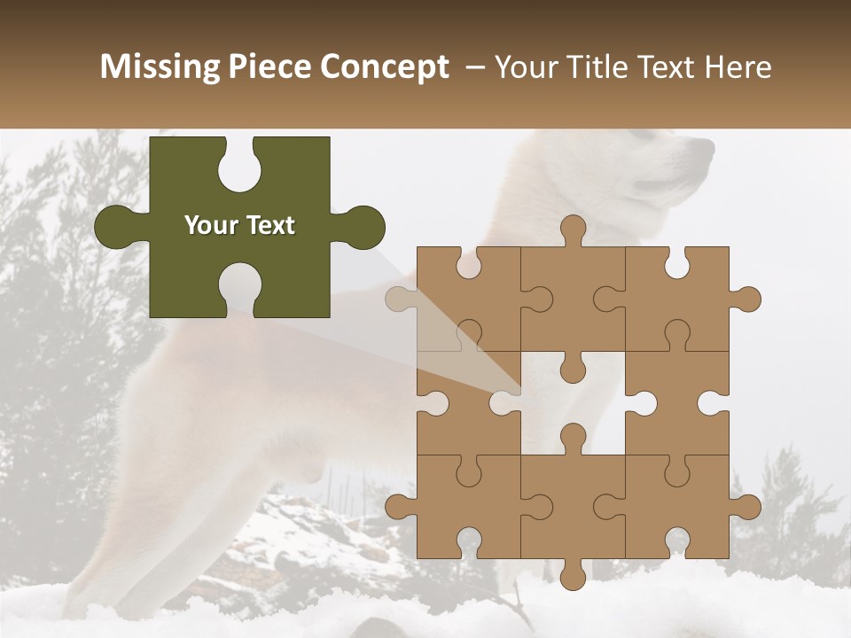 A Brown And White Dog Standing In The Snow PowerPoint Template