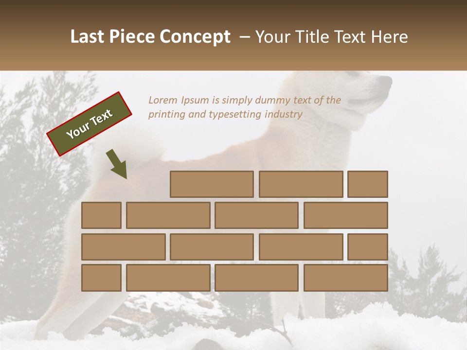 A Brown And White Dog Standing In The Snow PowerPoint Template