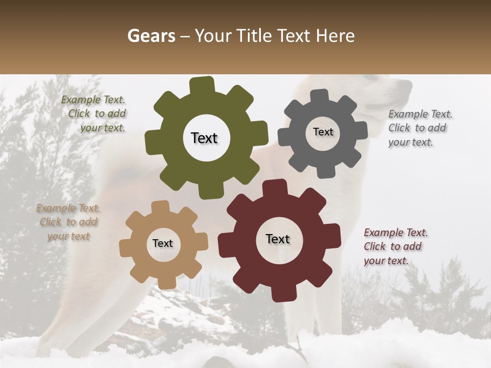 A Brown And White Dog Standing In The Snow PowerPoint Template