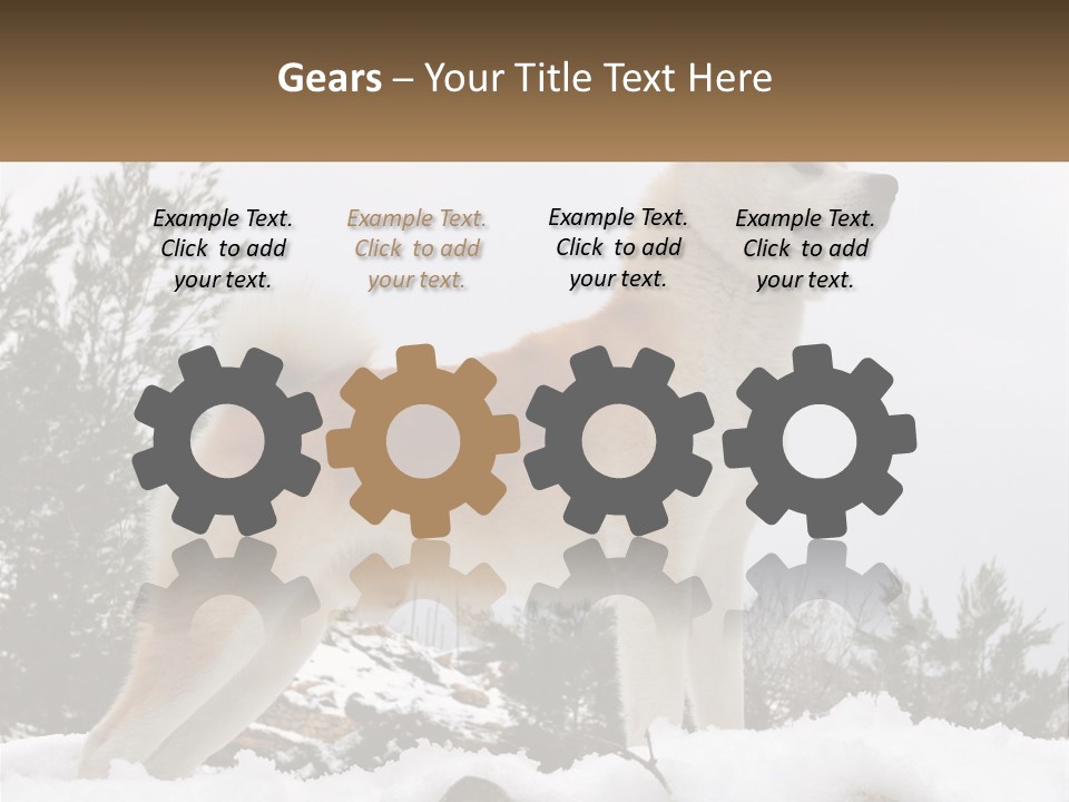 A Brown And White Dog Standing In The Snow PowerPoint Template