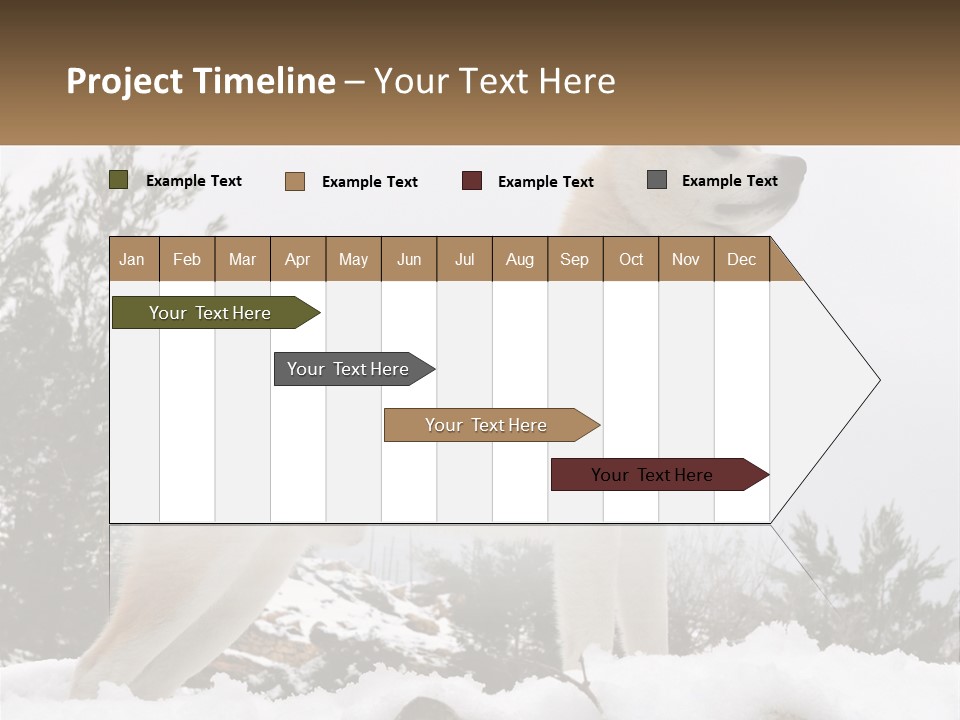 A Brown And White Dog Standing In The Snow PowerPoint Template