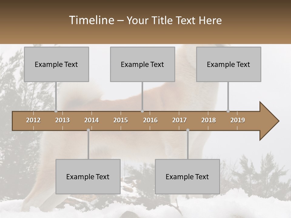 A Brown And White Dog Standing In The Snow PowerPoint Template