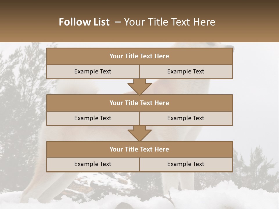 A Brown And White Dog Standing In The Snow PowerPoint Template