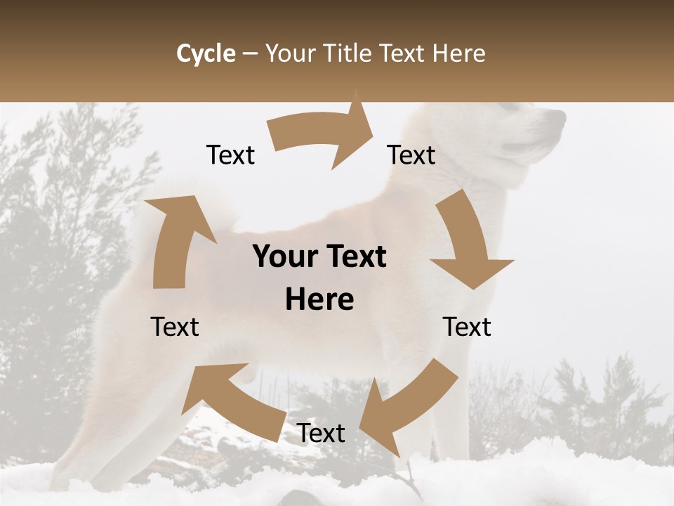 A Brown And White Dog Standing In The Snow PowerPoint Template
