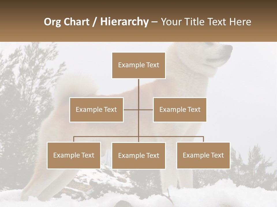 A Brown And White Dog Standing In The Snow PowerPoint Template