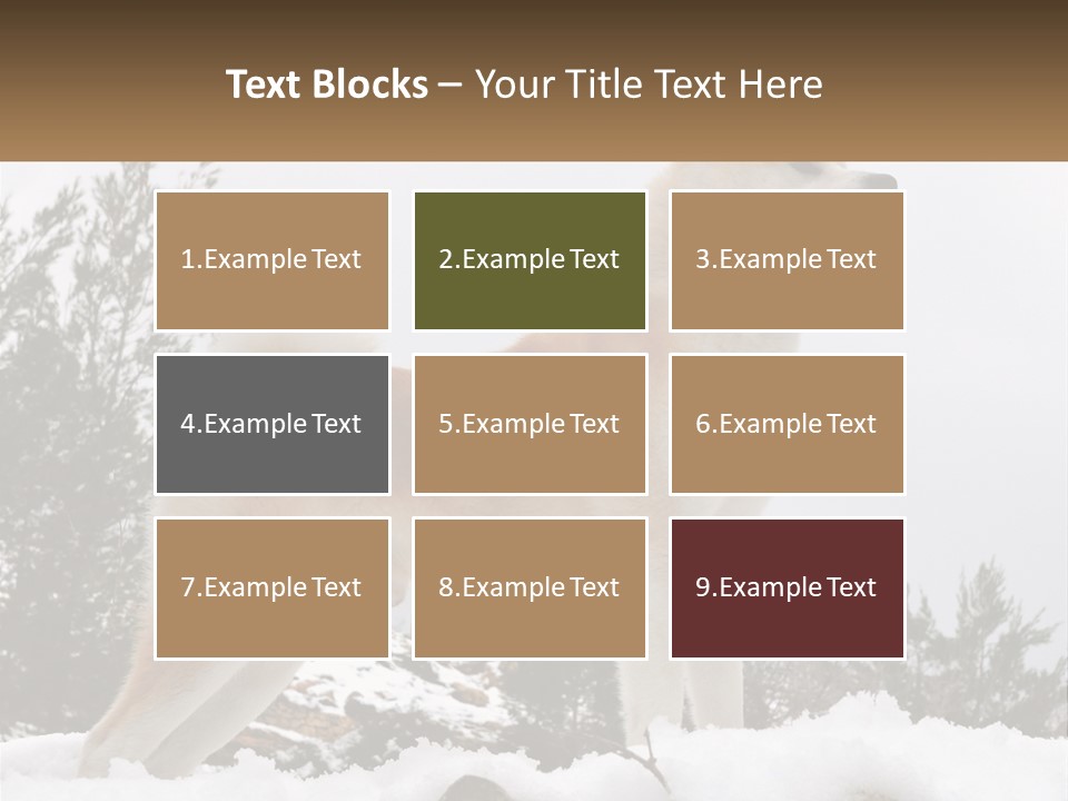 A Brown And White Dog Standing In The Snow PowerPoint Template