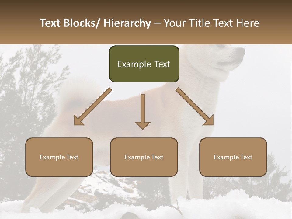 A Brown And White Dog Standing In The Snow PowerPoint Template