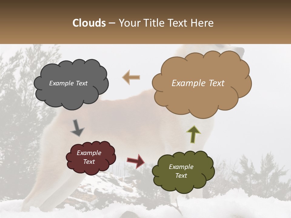 A Brown And White Dog Standing In The Snow PowerPoint Template