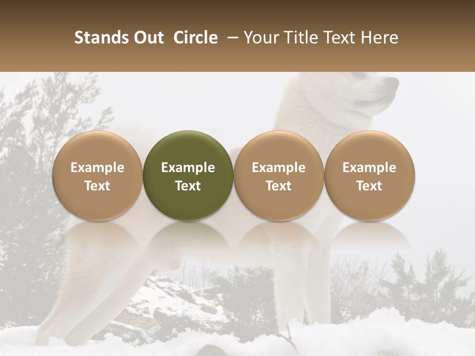 A Brown And White Dog Standing In The Snow PowerPoint Template