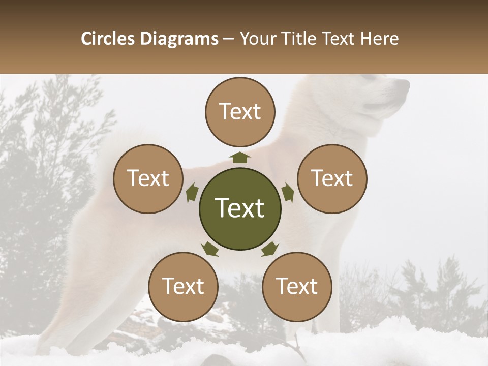 A Brown And White Dog Standing In The Snow PowerPoint Template