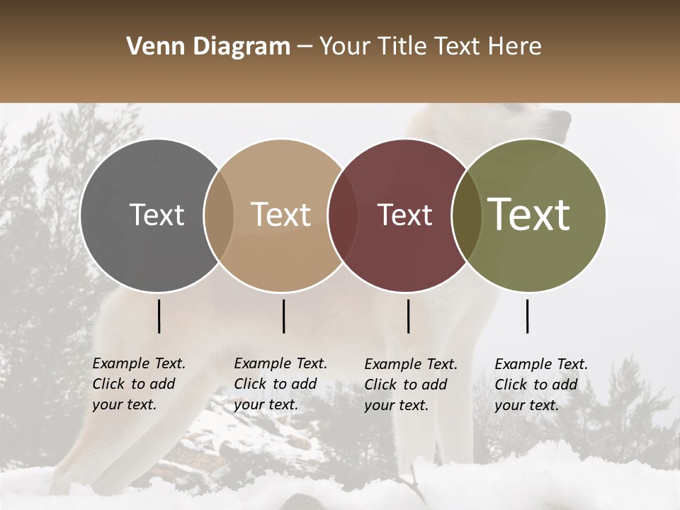 A Brown And White Dog Standing In The Snow PowerPoint Template