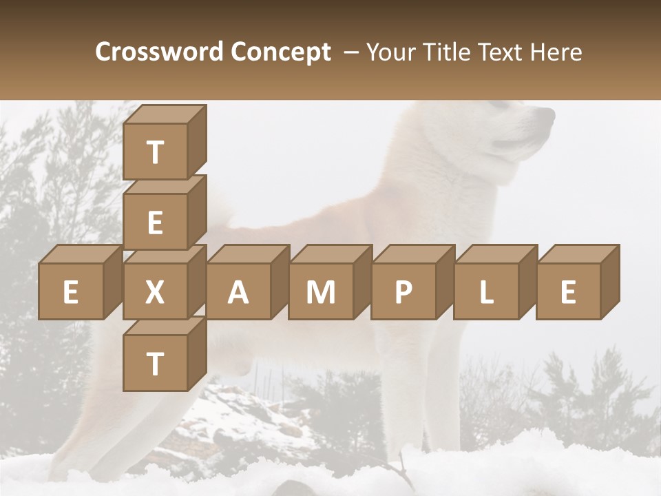 A Brown And White Dog Standing In The Snow PowerPoint Template