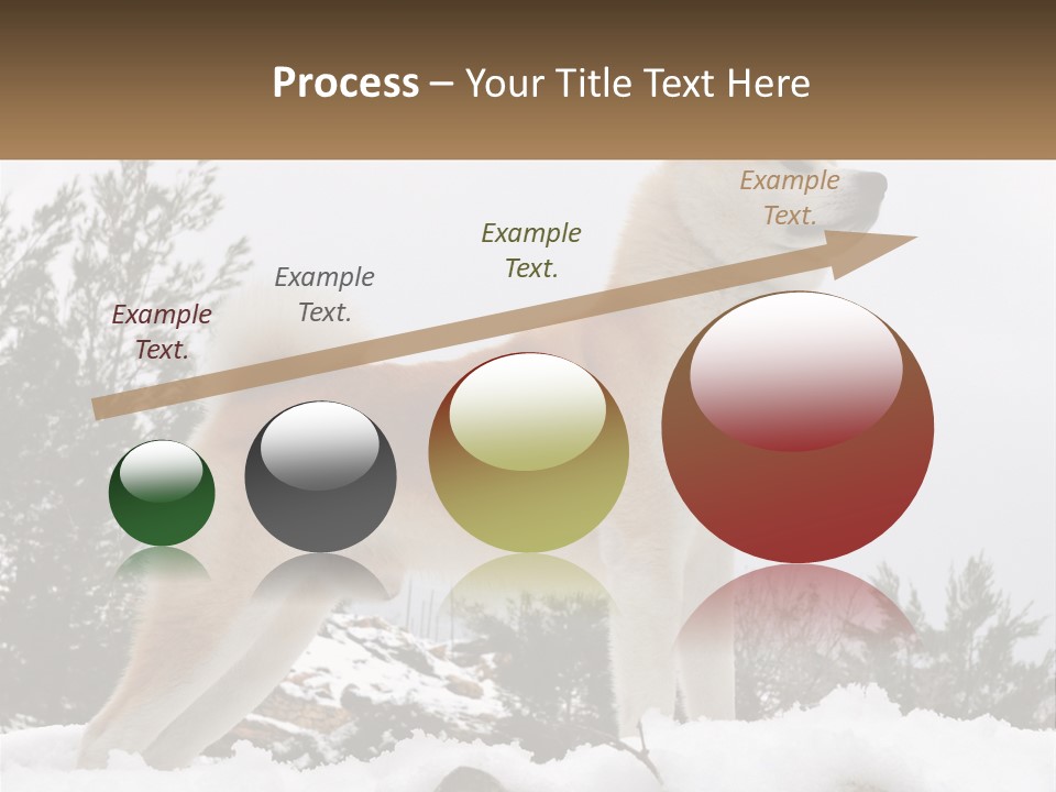 A Brown And White Dog Standing In The Snow PowerPoint Template