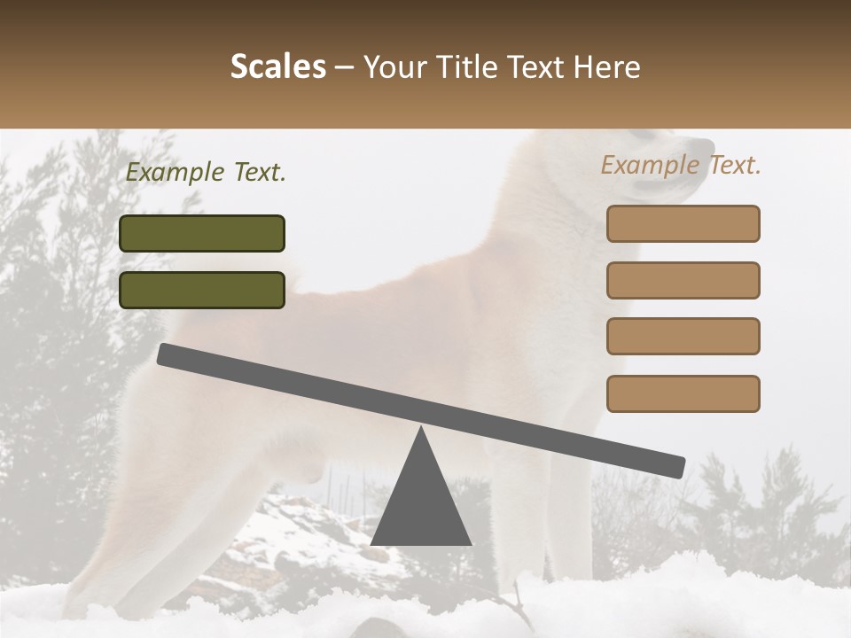 A Brown And White Dog Standing In The Snow PowerPoint Template