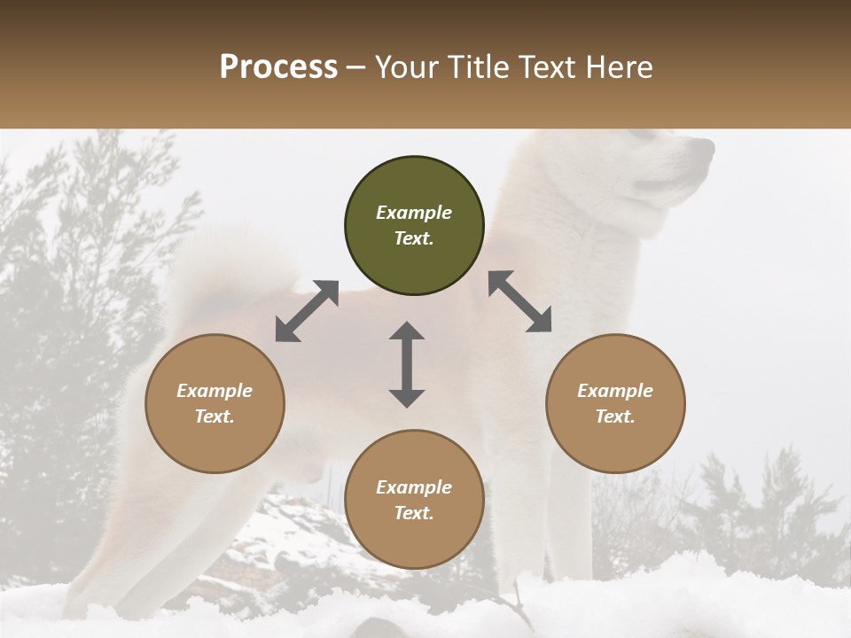A Brown And White Dog Standing In The Snow PowerPoint Template