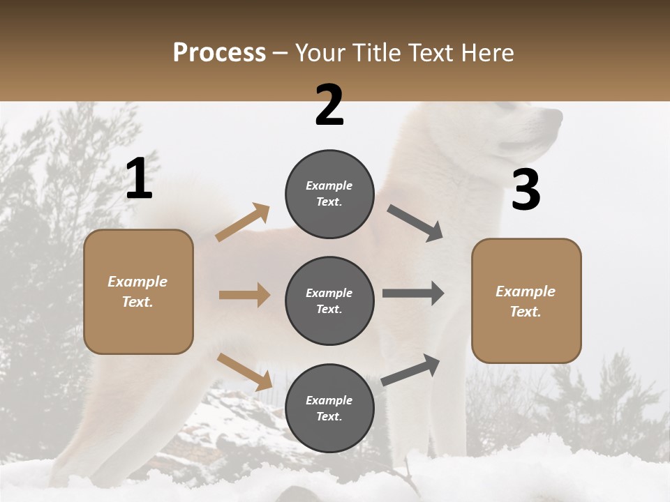 A Brown And White Dog Standing In The Snow PowerPoint Template