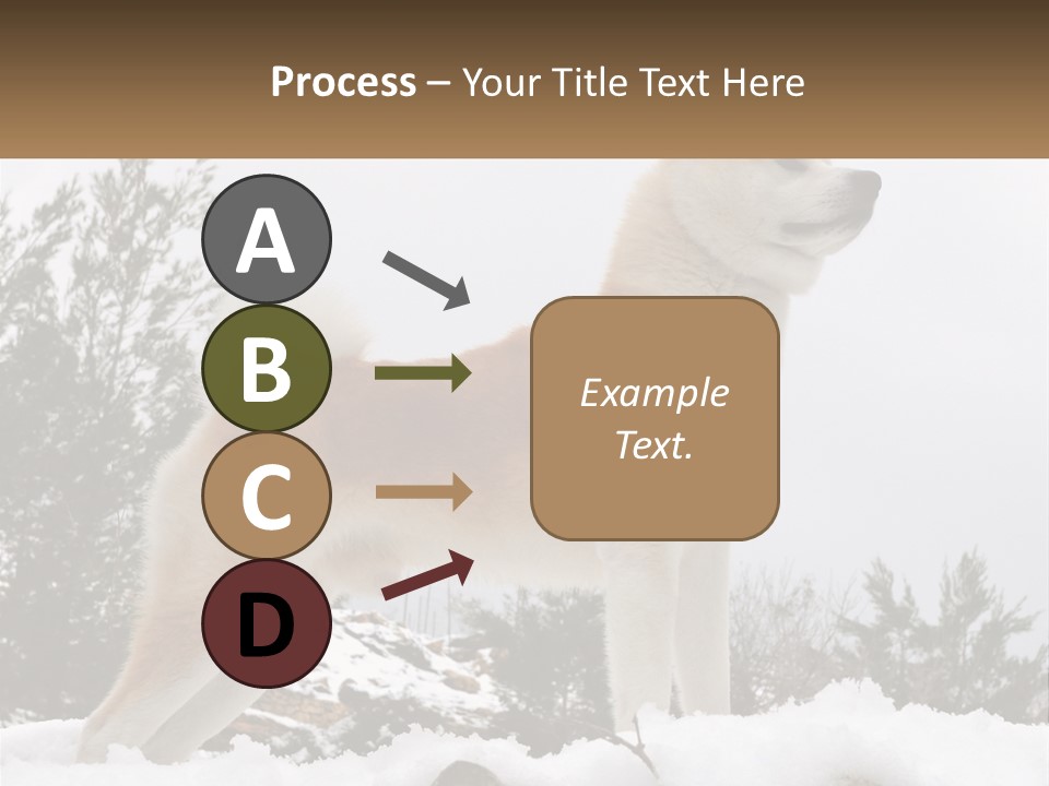 A Brown And White Dog Standing In The Snow PowerPoint Template
